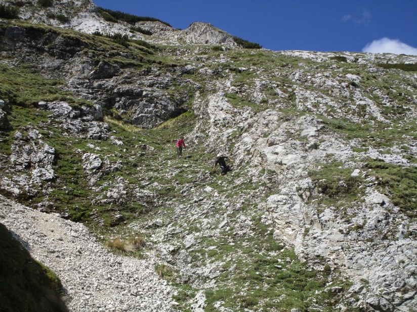 descrizione immagine